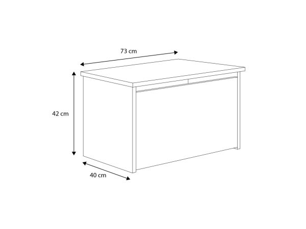 Daria toy chest with children's graphics